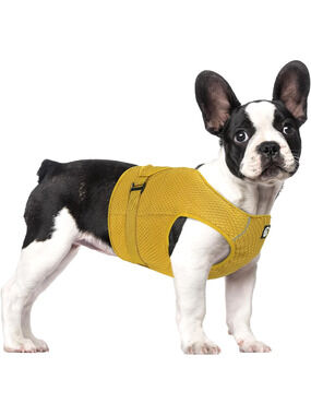 Dog Cooling Vest Harness Lightweight Cooler Jacket Sz Med w Adjustable Buckle